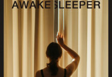 Songsvine - indie folk artist amy jay to release new album awake sleeper february 11