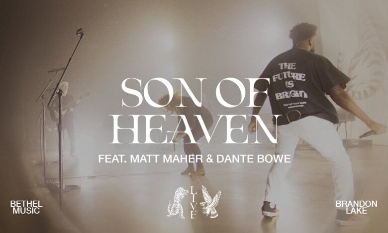 Songsvine - Brandon Lake – Son Of Heaven