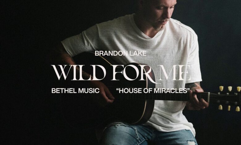 Songsvine - Brandon Lake – Wild For Me